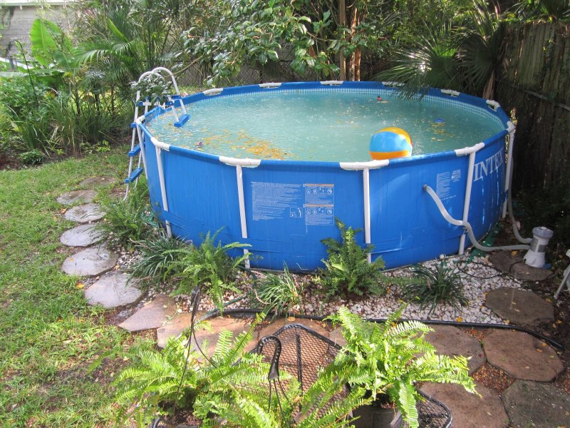 Испорченная вода Пример бассейна с грязной водой